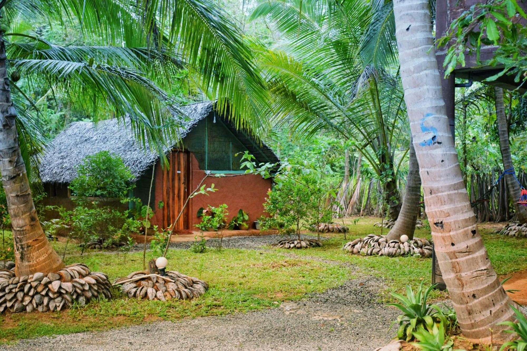 Passion Ray Villa & Tree Hut Sigiriya Exterior foto