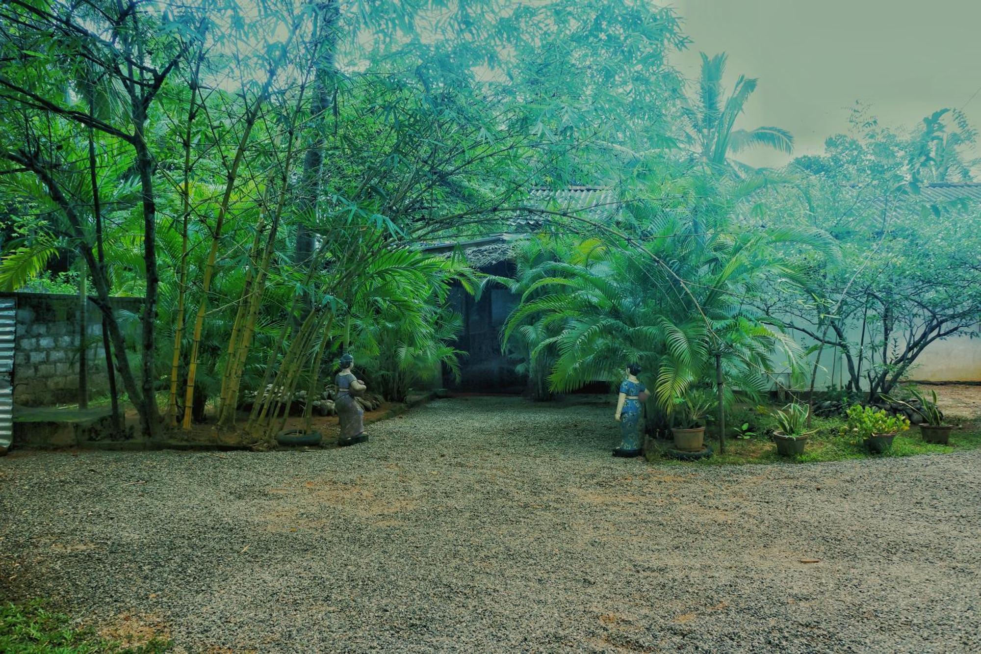 Passion Ray Villa & Tree Hut Sigiriya Exterior foto