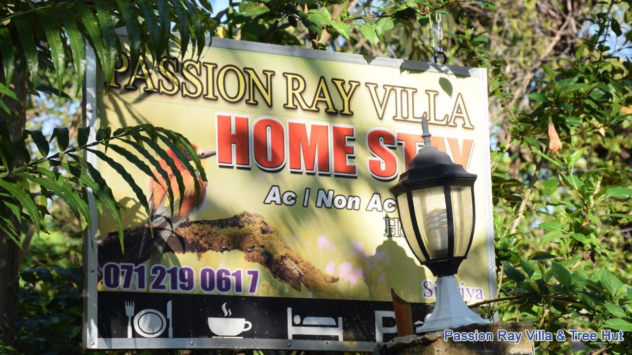 Passion Ray Villa & Tree Hut Sigiriya Exterior foto